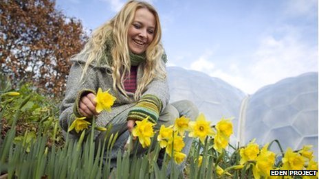 eden project flowers				